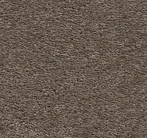 Ковролин AW Invictus Heroicus 39 фото 1 | FLOORDEALER